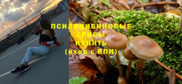 прущий лед Аркадак